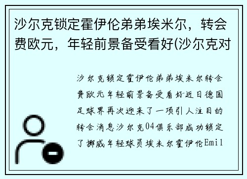 沙尔克锁定霍伊伦弟弟埃米尔，转会费欧元，年轻前景备受看好(沙尔克对霍分海姆)